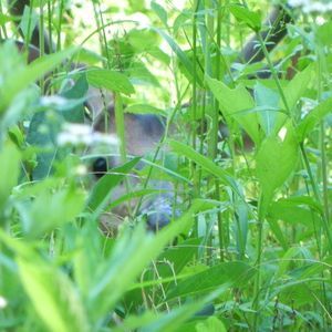 Meet your Posher, Marianne